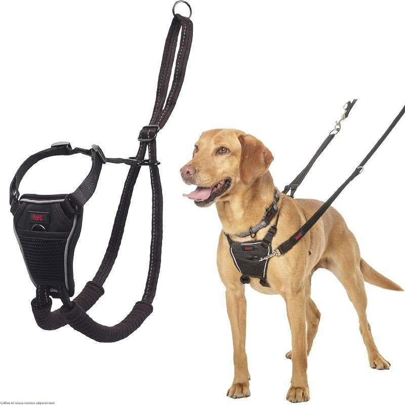 Harnais Halti No Pull anti traction - JungleVet Harnais Halti No Pull anti traction - JungleVet
