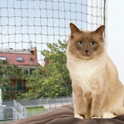Filet de protection pour chat - JungleVet