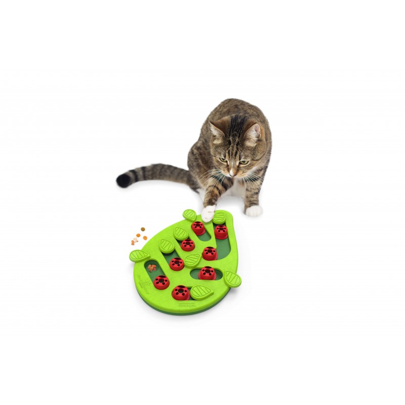Jouet éducatif Nina Ottosson Buggin'Out pour chat - JungleVet Jouet éducatif Nina Ottosson Buggin'Out pour chat - JungleVet