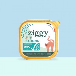Ziggy Chat Adulte Sterilisé sans céréales patées au saumon 4 barquettes de 100 g - JungleVet