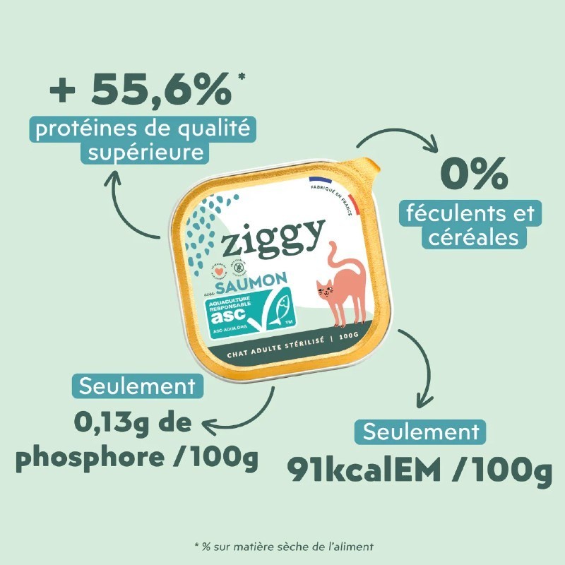 Ziggy Chat Adulte Sterilisé sans céréales patées au saumon 4 barquettes de 100 g - JungleVet Ziggy Chat Adulte Sterilisé sans céréales patées au saumon 4 barquettes de 100 g - JungleVet
