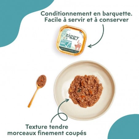 Ziggy Chat Adulte Sterilisé sans céréales patées au saumon 4 barquettes de 100 g - JungleVet Ziggy Chat Adulte Sterilisé sans céréales patées au saumon 4 barquettes de 100 g - JungleVet