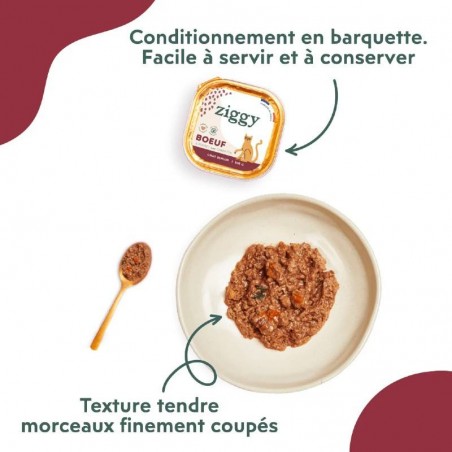 Ziggy Chat Senior sans céréales patées au boeuf 4 barquettes de 100 g - JungleVet Ziggy Chat Senior sans céréales patées au boeuf 4 barquettes de 100 g - JungleVet