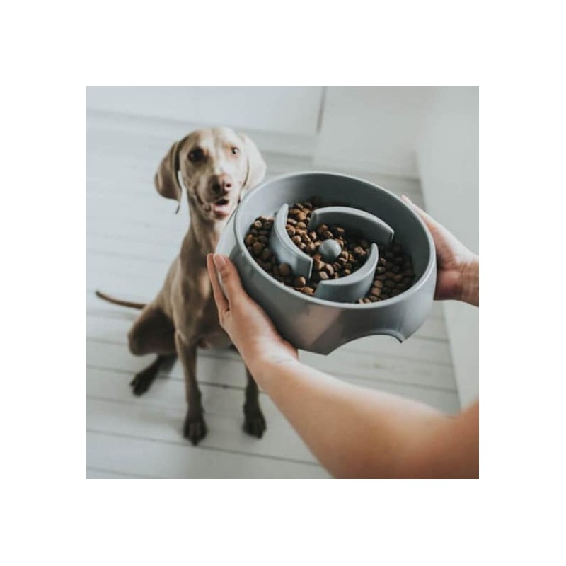 Hunter Gamelle Anti Glouton Atlanta pour chien - JungleVet Hunter Gamelle Anti Glouton Atlanta pour chien - JungleVet
