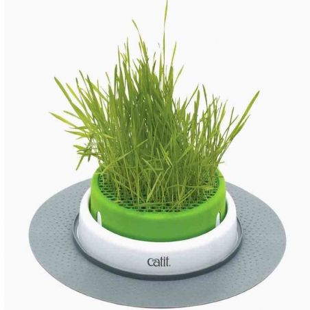 Jardin d'herbe à chat Catit Senses 2.0 - JungleVet Jardin d'herbe à chat Catit Senses 2.0 - JungleVet