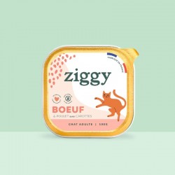 Ziggy Chat Adulte sans céréales patées au Boeuf 4 barquettes de 100 g