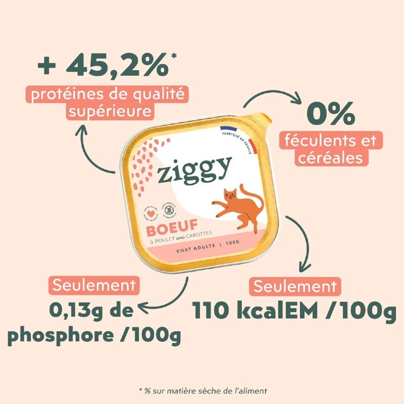 Ziggy Chat Adulte sans céréales patées au Boeuf 4 barquettes de 100 g Ziggy Chat Adulte sans céréales patées au Boeuf 4 barquettes de 100 g