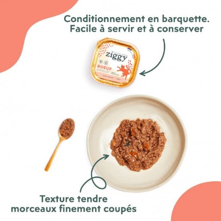 Ziggy Chat Adulte sans céréales patées au Boeuf 4 barquettes de 100 g Ziggy Chat Adulte sans céréales patées au Boeuf 4 barquettes de 100 g