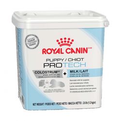 Royal Canin Puppy ProTech Lait maternisé pour chiot - JungleVet