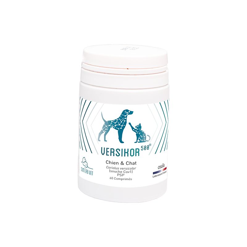Versikor 500 pour chien et chat - JungleVet Versikor 500 pour chien et chat - JungleVet