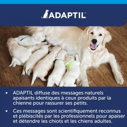 Adaptil collier calm