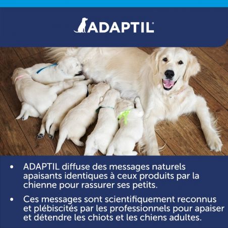 Adaptil collier calm Adaptil collier calm
