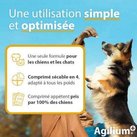 Agilium + Agilium +