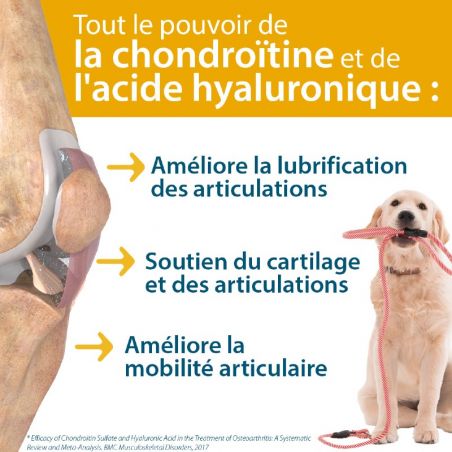 Agilium + Agilium +