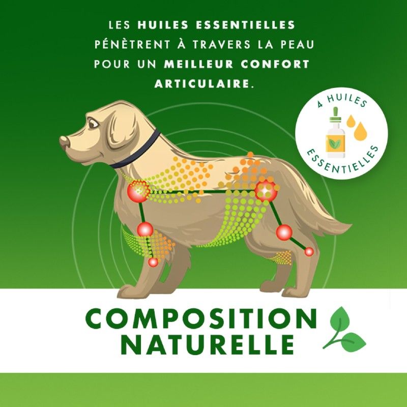 YOOS Collier pour le confort articulaire du chien YOOS Collier pour le confort articulaire du chien