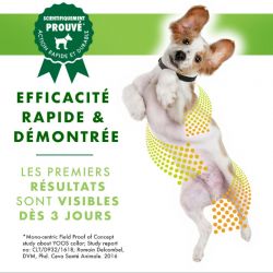 YOOS Collier pour le confort articulaire du chien