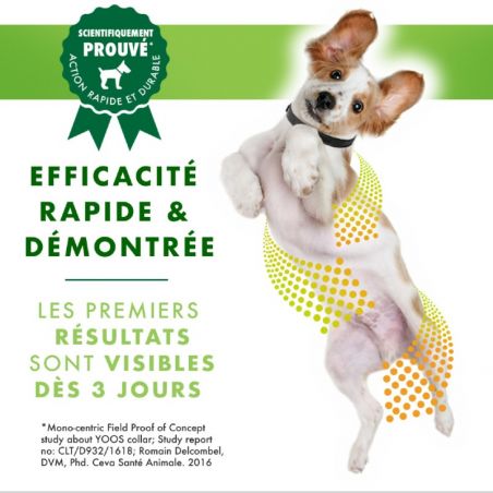 YOOS Collier pour le confort articulaire du chien YOOS Collier pour le confort articulaire du chien