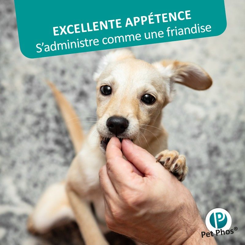 Pet Phos canin Croissance Ca/P 1,3 chiens Pet Phos canin Croissance Ca/P 1,3 chiens