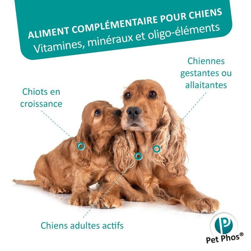 Pet Phos canin Croissance Ca/P 1,3 chiens Pet Phos canin Croissance Ca/P 1,3 chiens