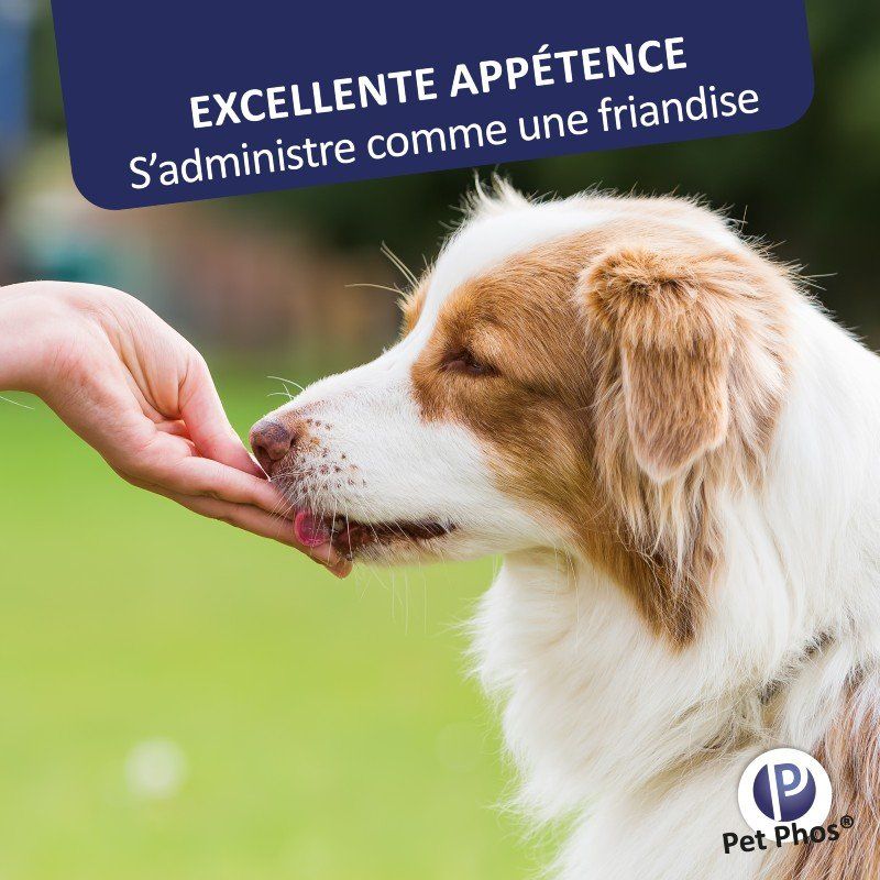 Pet Phos canin Croissance Ca/P 2 chiens