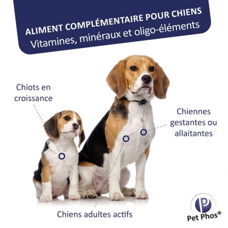 Pet Phos canin Croissance Ca/P 2 chiens