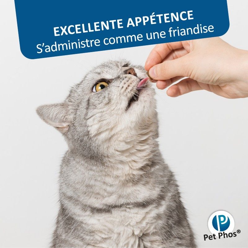 Pet Phos Felin Croissance Pet Phos Felin Croissance