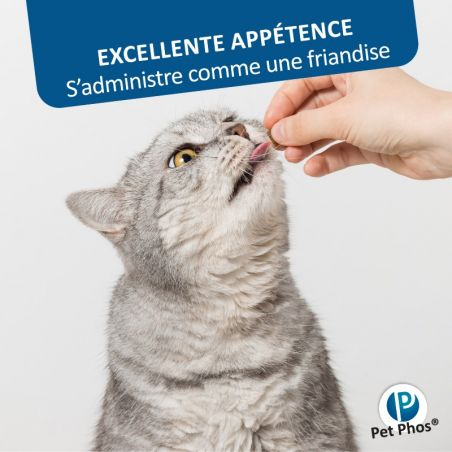 Pet Phos Felin Croissance Pet Phos Felin Croissance