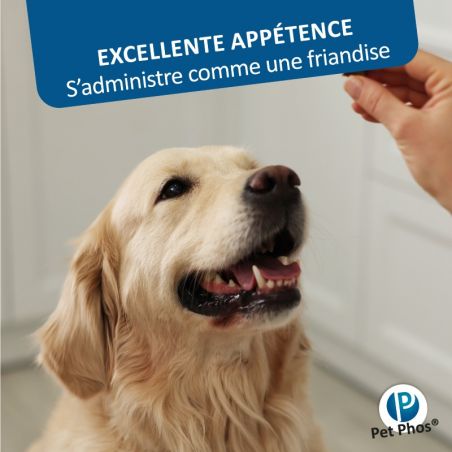 Pet Phos canin Croissance Ca/P 2 grands chiens Boite de 100 cp Pet Phos canin Croissance Ca/P 2 grands chiens Boite de 100 cp