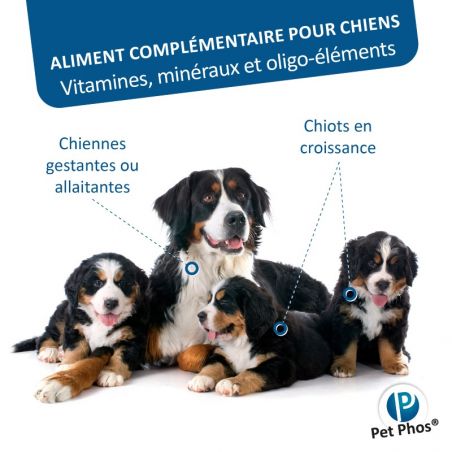 Pet Phos canin Croissance Ca/P 2 grands chiens Boite de 100 cp Pet Phos canin Croissance Ca/P 2 grands chiens Boite de 100 cp