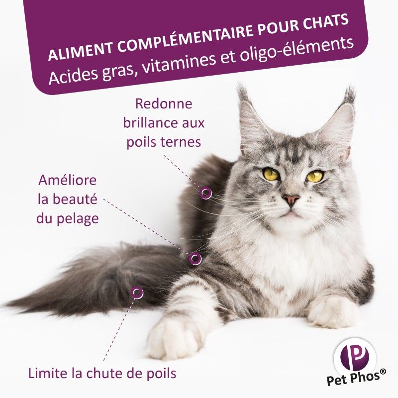 Pet Phos pelage chat Boite de 36 comprimés Pet Phos pelage chat Boite de 36 comprimés