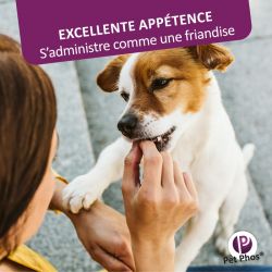 Pet Phos Canin Spécial pelage