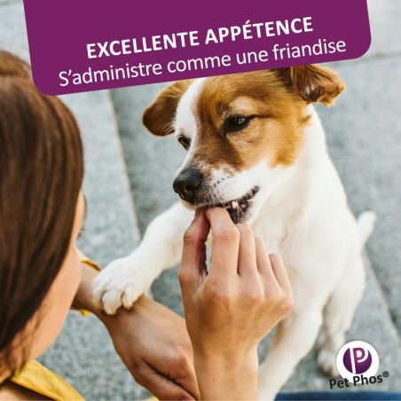 Pet Phos Canin Spécial pelage