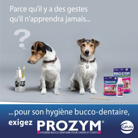 Prozym RF2 solution buvable Flacon de 250 ml Prozym RF2 solution buvable Flacon de 250 ml
