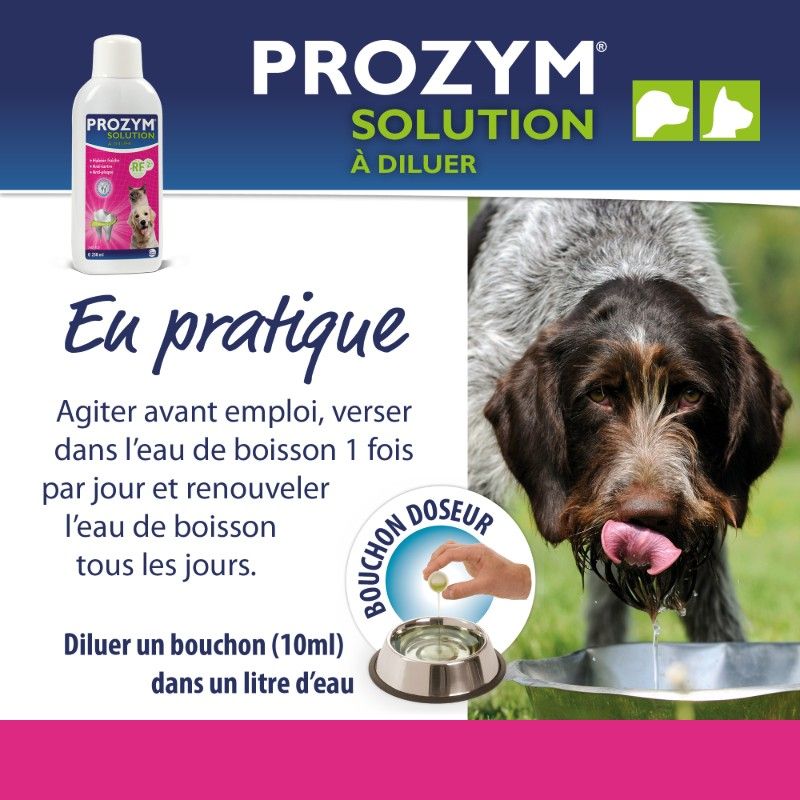 Prozym RF2 solution buvable Flacon de 250 ml Prozym RF2 solution buvable Flacon de 250 ml