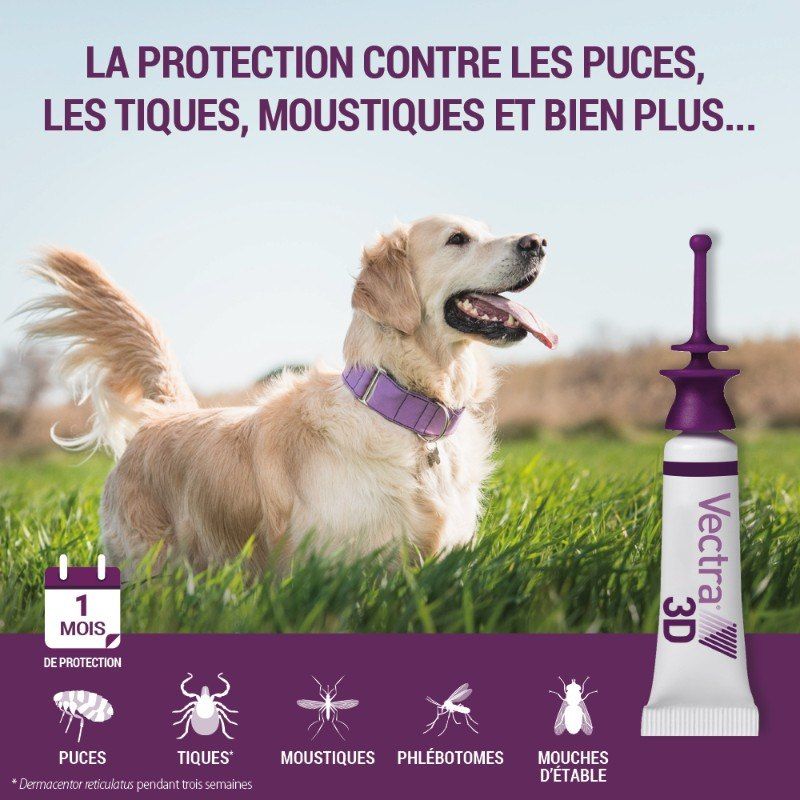 Vectra 3D chiens de 10 à 25 kg Vectra 3D chiens de 10 à 25 kg