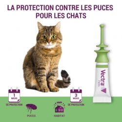 Vectra Felis pour chat