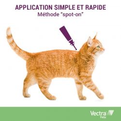 Vectra Felis pour chat