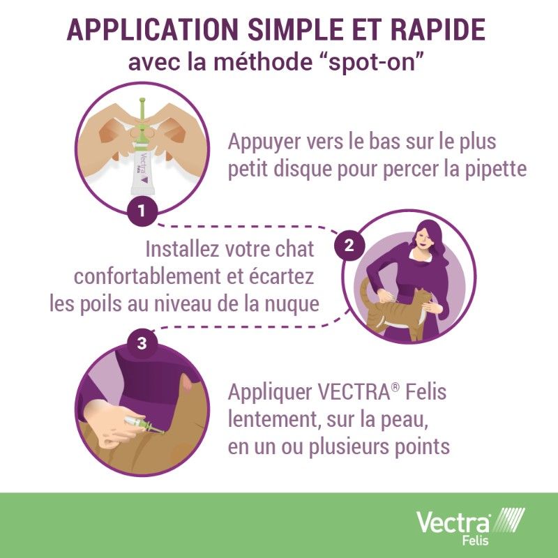 Vectra Felis pour chat