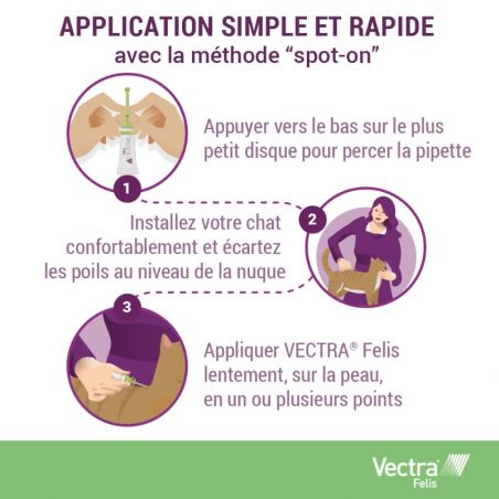 Vectra Felis pour chat