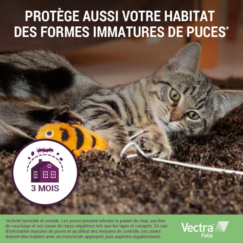 Vectra Felis pour chat