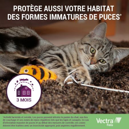 Vectra Felis pour chat