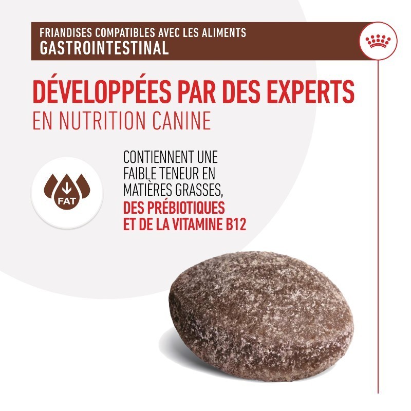 Royal Canin Dog Gastrointestinal Treats sachet de 230 g - JungleVet Royal Canin Dog Gastrointestinal Treats sachet de 230 g - JungleVet