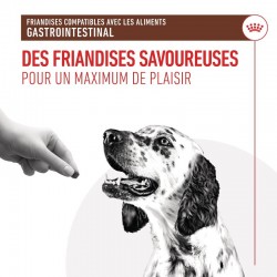 Royal Canin Dog Gastrointestinal Treats sachet de 230 g - JungleVet