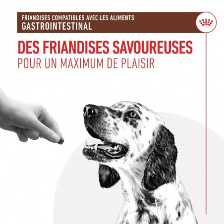 Royal Canin Dog Gastrointestinal Treats sachet de 230 g - JungleVet Royal Canin Dog Gastrointestinal Treats sachet de 230 g - JungleVet