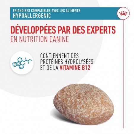 Royal Canin Hypoallergenic Treats pour chien sachet de 230g - JungleVet Royal Canin Hypoallergenic Treats pour chien sachet de 230g - JungleVet