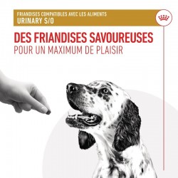 Royal Canin Urinary Treats pour chien sachet de 230g - JungleVet