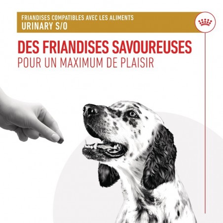 Royal Canin Urinary Treats pour chien sachet de 230g - JungleVet Royal Canin Urinary Treats pour chien sachet de 230g - JungleVet