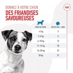 Royal Canin Training Treats Pour chien sachet de 110g - JungleVet