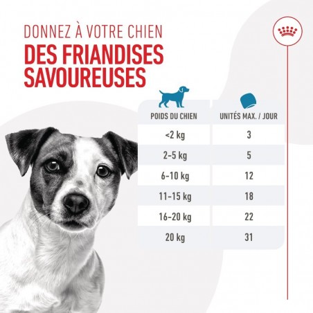 Royal Canin Training Treats Pour chien sachet de 110g - JungleVet Royal Canin Training Treats Pour chien sachet de 110g - JungleVet
