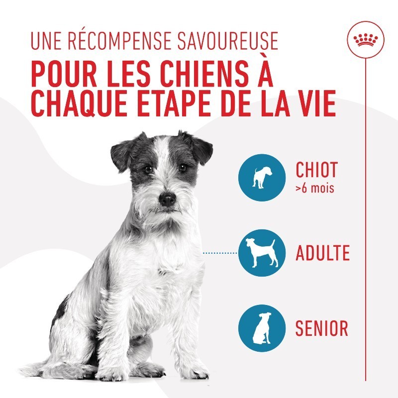Royal Canin Training Treats Pour chien sachet de 110g - JungleVet Royal Canin Training Treats Pour chien sachet de 110g - JungleVet